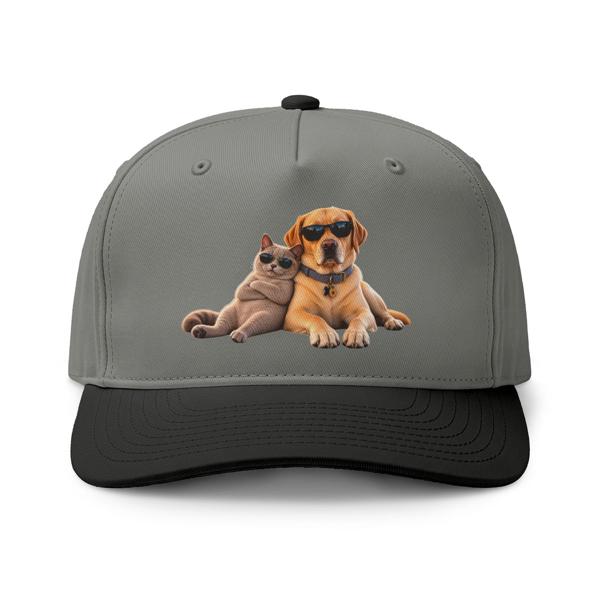 Dog and Cat Relaxed Pet Cap — Cute Sunglasses Puppy & Kitty Two-Tone Hat